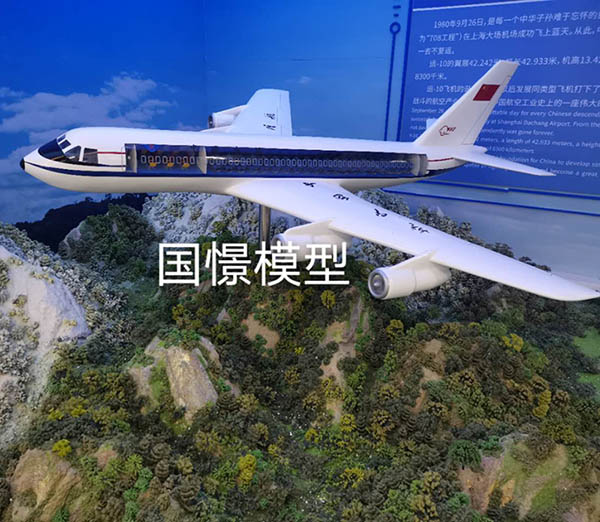 平果县飞机模型