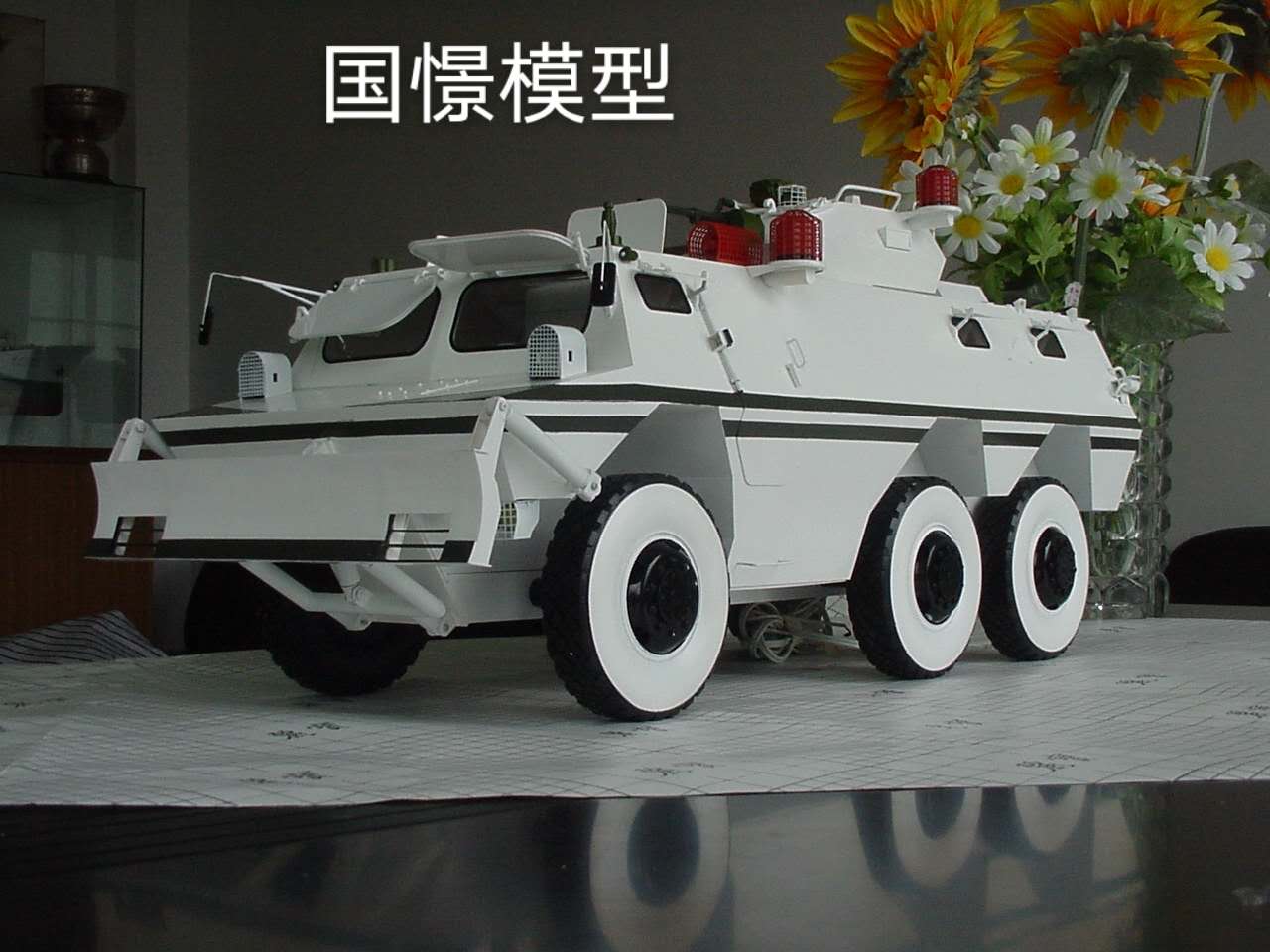 平果县军事模型